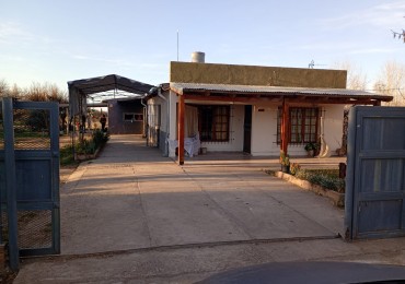 TERRENO DE 12.798 m² CON DOS CASAS Y QUINCHO EN CALLE LAS MALVINAS , EL CERRITO, SAN RAFAEL, MENDOZA