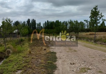 TERRENO DE 2200 M2 EN CALLE EJERCITO DE LOS ANDES CAMINO A VALLE GRANDE, SAN RAFAEL, MENDOZA